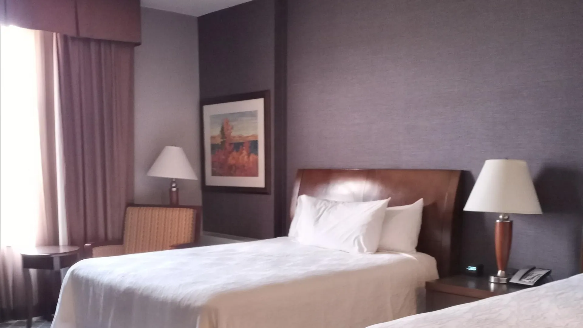 Hilton Garden Inn Calgary Airport 3*,  Kanada